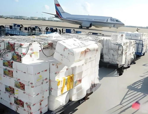 北海荔枝航空貨運(yùn)怎么收費(fèi)