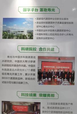 院士來(lái)了，國(guó)字號(hào)科研院所也來(lái)了——生態(tài)環(huán)境高水平保護(hù)推動(dòng)經(jīng)濟(jì)高質(zhì)量發(fā)展看濰坊見(jiàn)聞