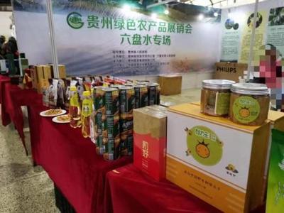 東西協(xié)作 山海情深 貴州綠色農(nóng)產(chǎn)品展銷會(huì)在大連舉行
